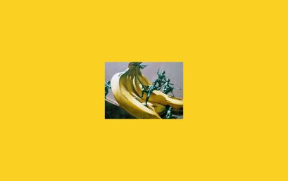 Conferencia Banana Crimes and Consumption: A Visual History of the U.S. Banana con Shana Klein