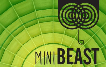 MiniBEAST – BLAST