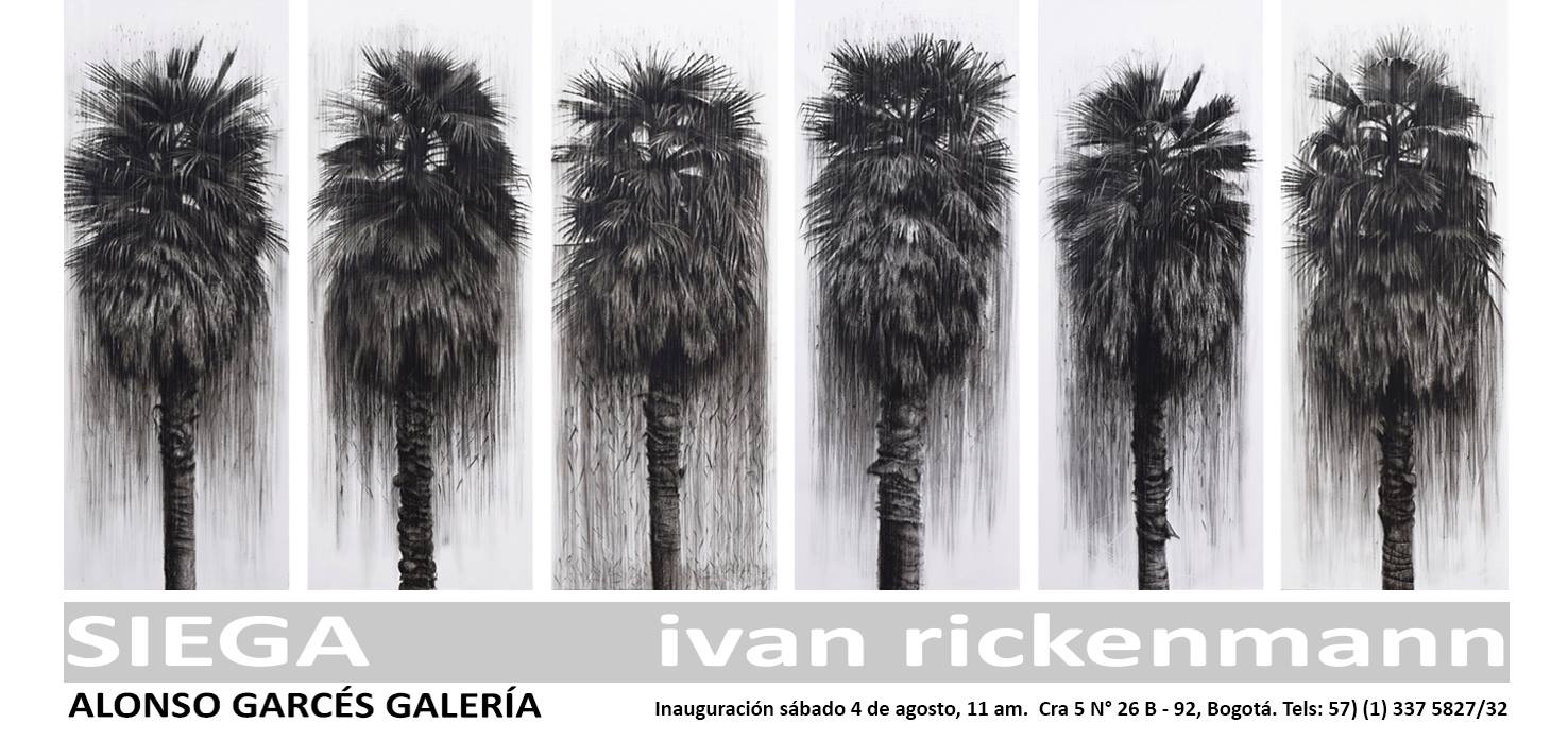 Exposición: Siega de Ivan Rickenmann en Alonso Garcés Galería