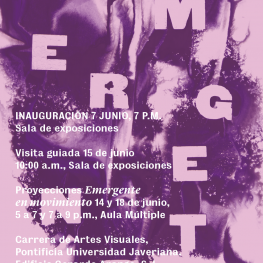 Emergentes IV