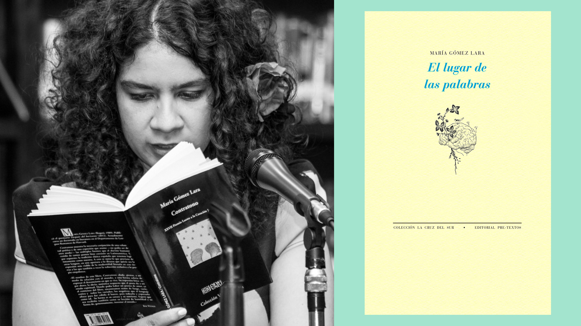 Este poemario es el tercer libro de María Gómez Lara