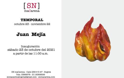 Temporal: Exposición de Juan Mejía en SN maCarena