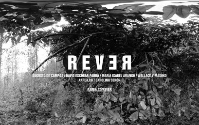 REVER: Exposición virtual y curaduría con Carolina Cerón