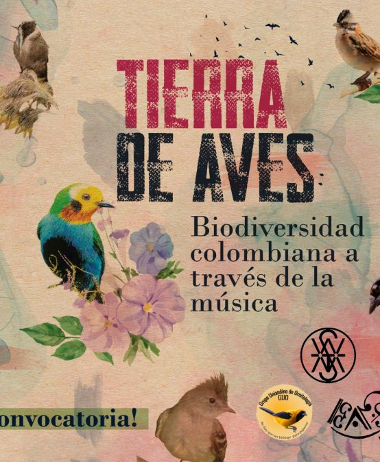 Tierra de Aves: Biodiversidad colombiana a través de la música