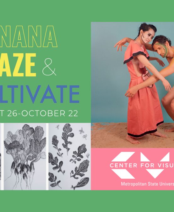 Exposición Banana Craze en el Center for Visual Arts de Denver