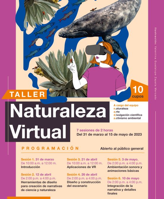 Taller: Naturaleza virtual
