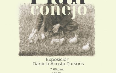 Plan conejo, exposición de Daniela Acosta Parsons
