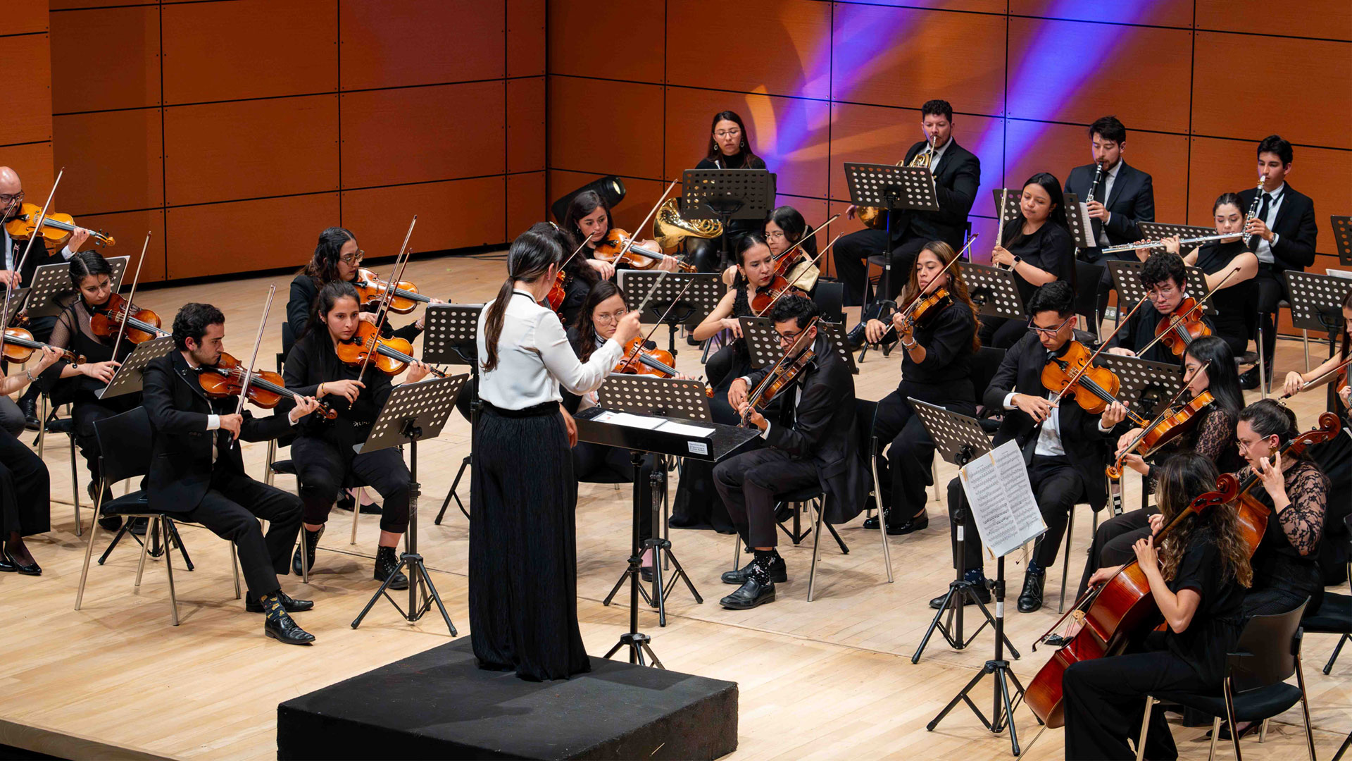 Orquesta de Los Andes presenta: Obras de Krommer y Mozart