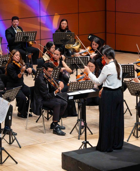 Orquesta de Los Andes presenta: obras de Haydn y Ágreda