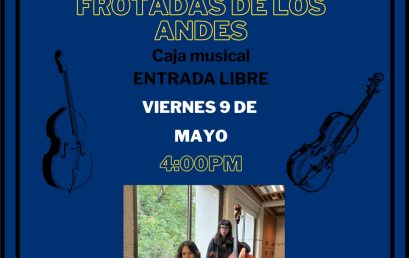 Concierto de Cuerdas Frotadas de los Andes