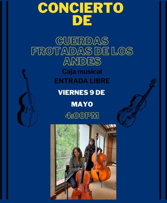 Concierto de Cuerdas Frotadas de los Andes