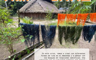 Curso: Arte y Ecología de Saberes en el Amazonas