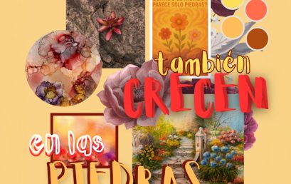 Convocatoria Qué Te Narras 2025: Las flores también crecen en las piedras
