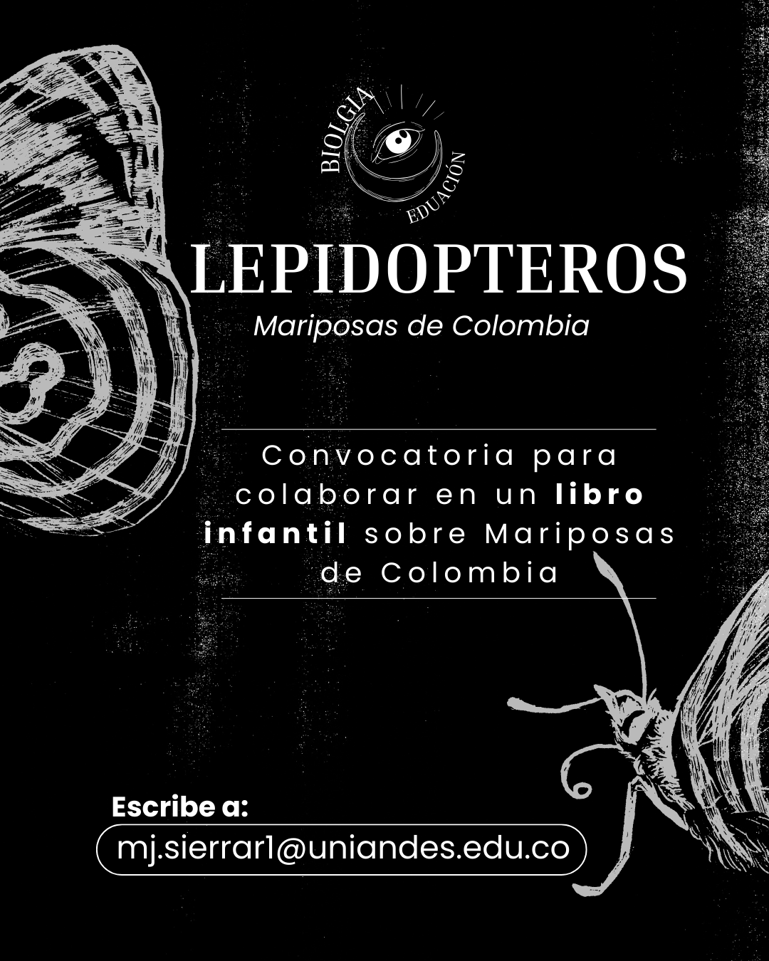 Convocatoria Lepidopteros para ilustradores y artistas