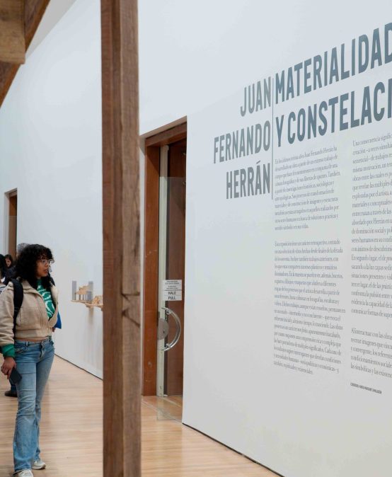 Visita guiada Juan Fernando Herrán – Materialidades y constelaciones