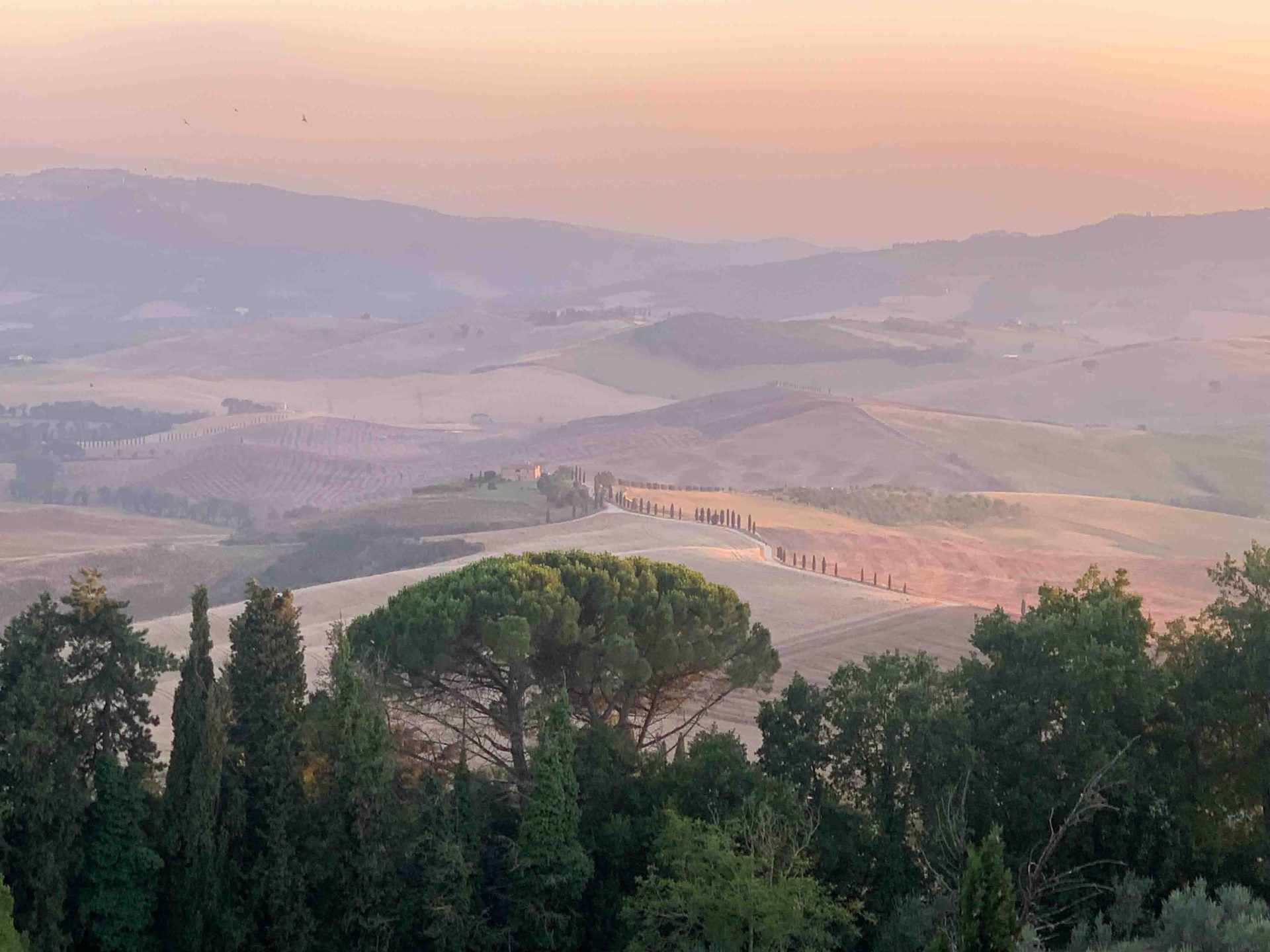 Evento en Línea | Martes 19 de enero de 2026 | 6:00 p.m.
