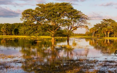 Primer Coloquio Internacional sobre la Orinoquía